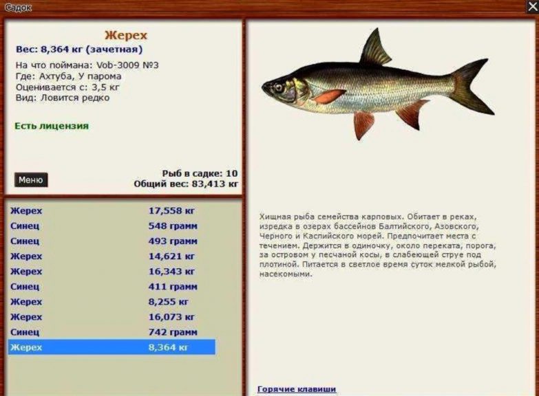 как вести коды на русскую рыбалку 3